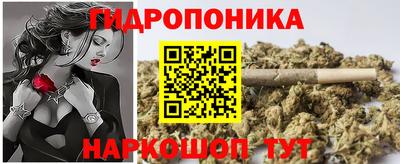 прущие грибы Гусиноозёрск