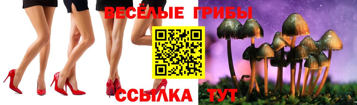 Киров  Псилоцибиновые грибы ЛСД  наркошоп  Вход с VPN 